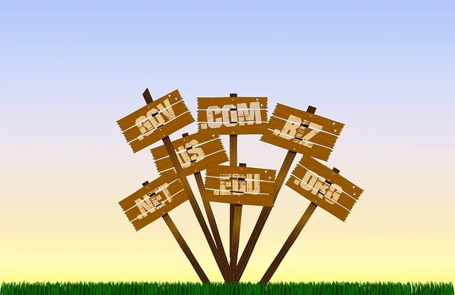 domain names κατοχύρωση και διαχείριση domain names κατοχύρωση και διαχείριση